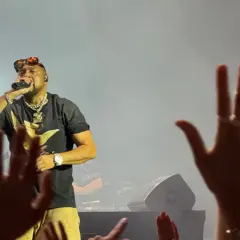 Raper w okularach i złotych łańcuchach śpiewa do mikrofonu, a przed nim wzniesione ręce fanów. I got you!