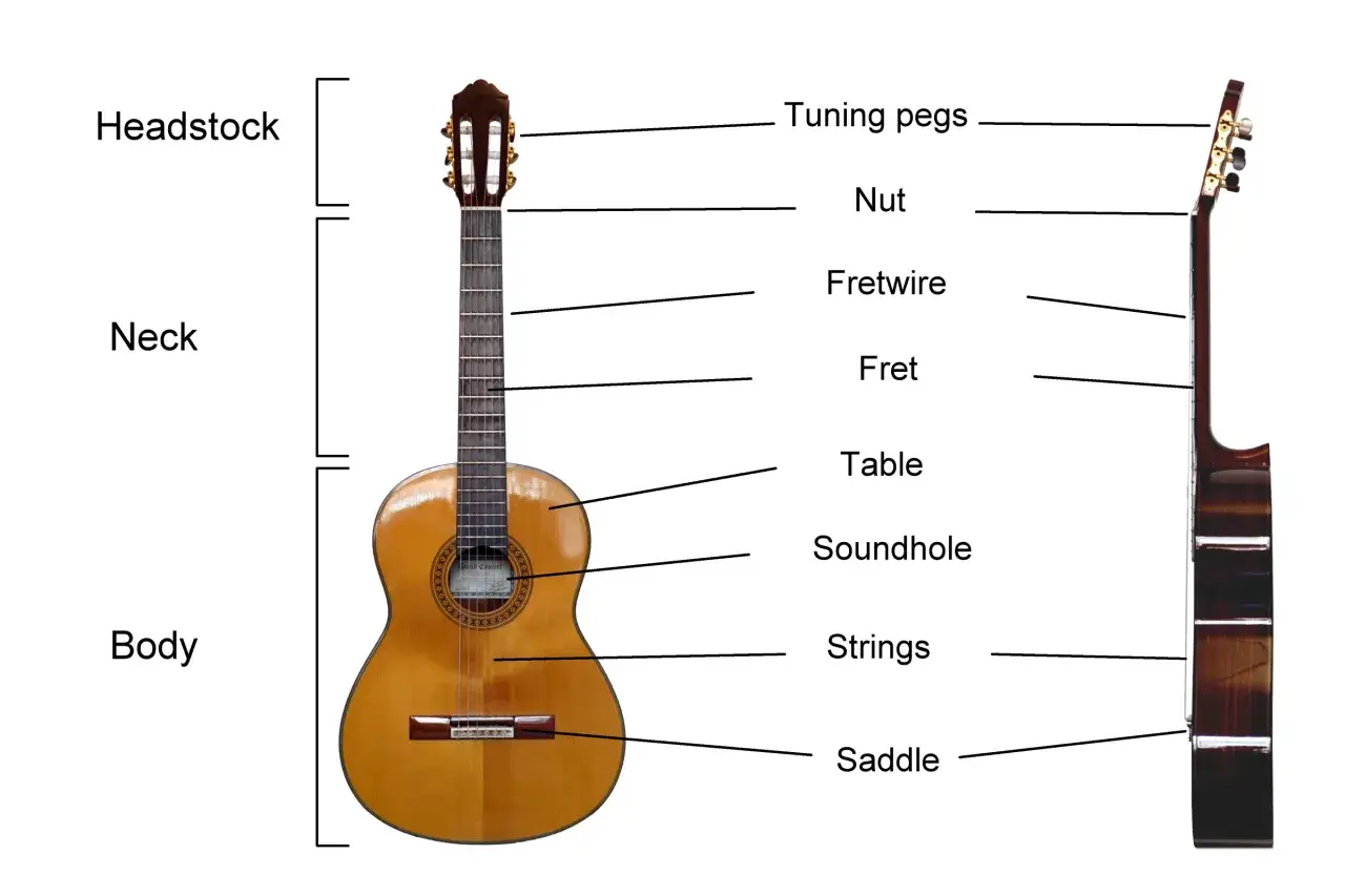 Schemat gitary klasycznej z oznaczeniami: główka, gryf, pudło, klucze, progi, struny. Idealna do nauki gry na gitarze.